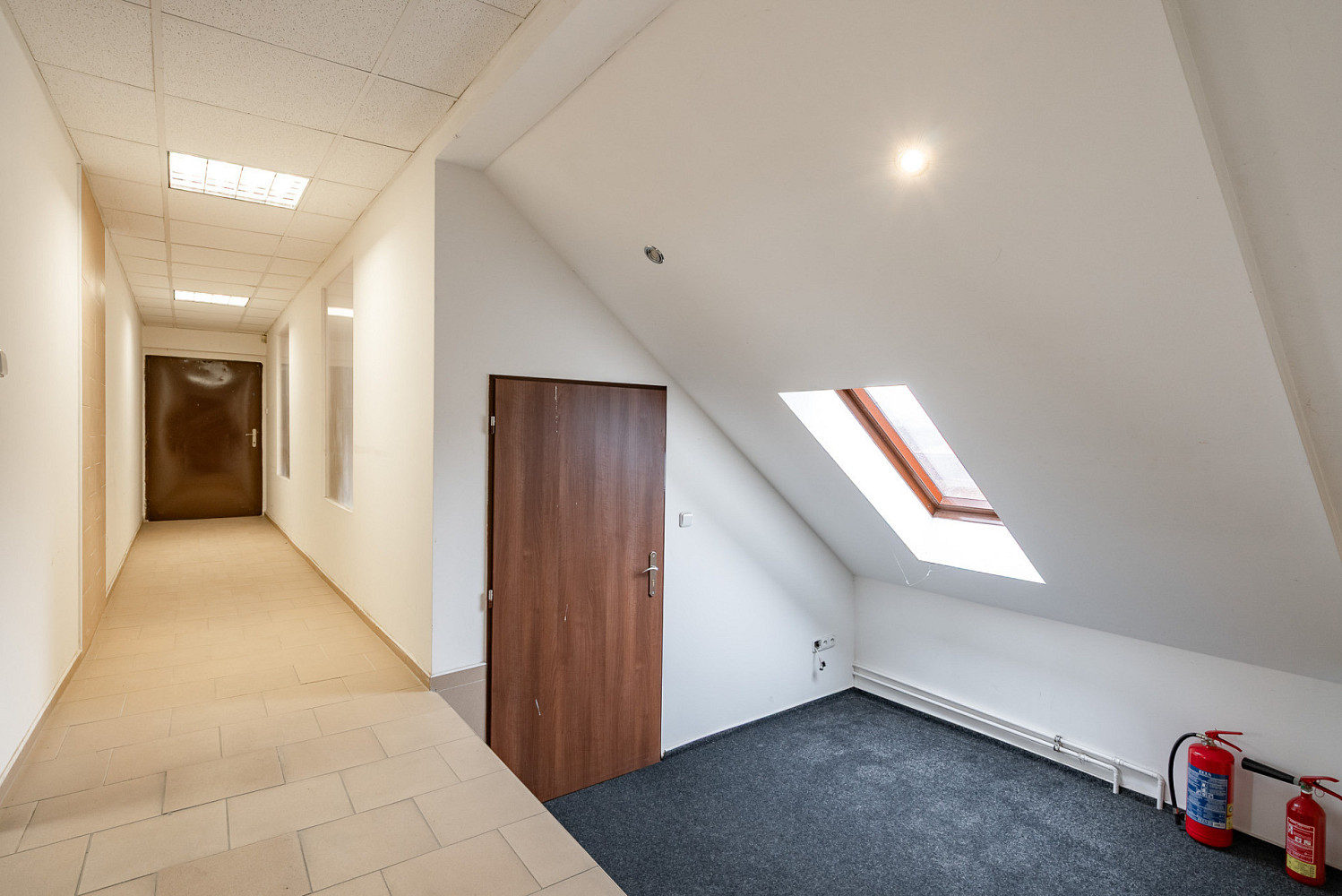 Pronájem kanceláře 243 m² – fotografie 3