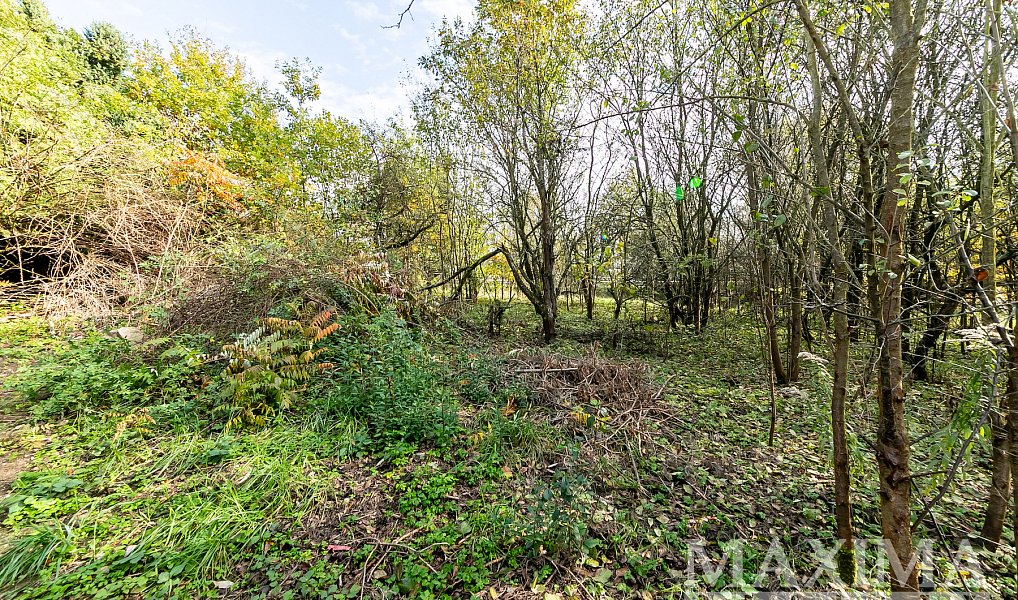 Prodej pozemku 1 308 m², Písek – náhled fotky 3