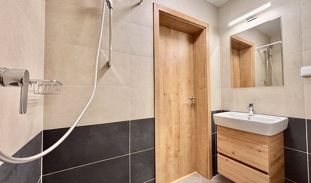 Pronájem ubytovacího objektu 600 m², Olšany u Prostějova – náhled fotky 3