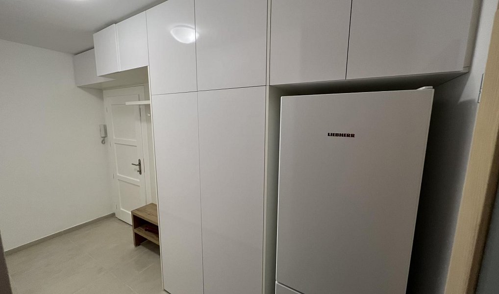 Pronájem bytu 1+1 36 m², Praha – náhled fotky 4
