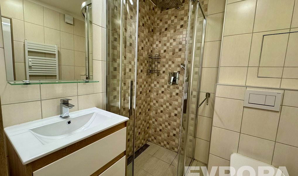 Pronájem bytu 1+1 30 m², Plzeň – náhled fotky 10