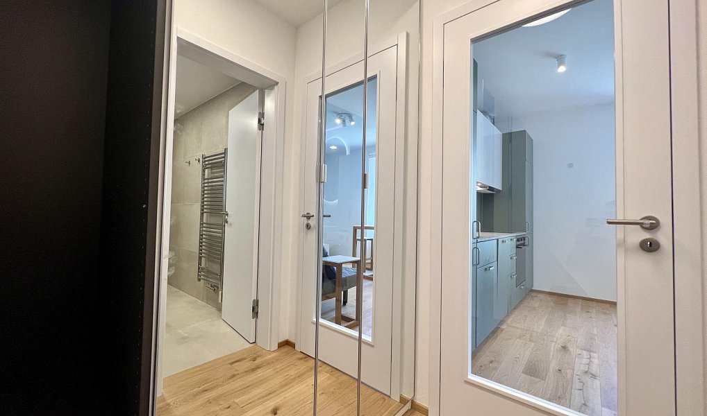Pronájem bytu 1+kk 27 m², Praha – náhled fotky 6