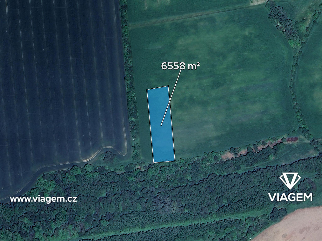 Prodej pole 546 m² – fotografie 2