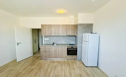 Pronájem bytu 1+kk 27 m², Plovární, Plzeň - Jižní Předměstí