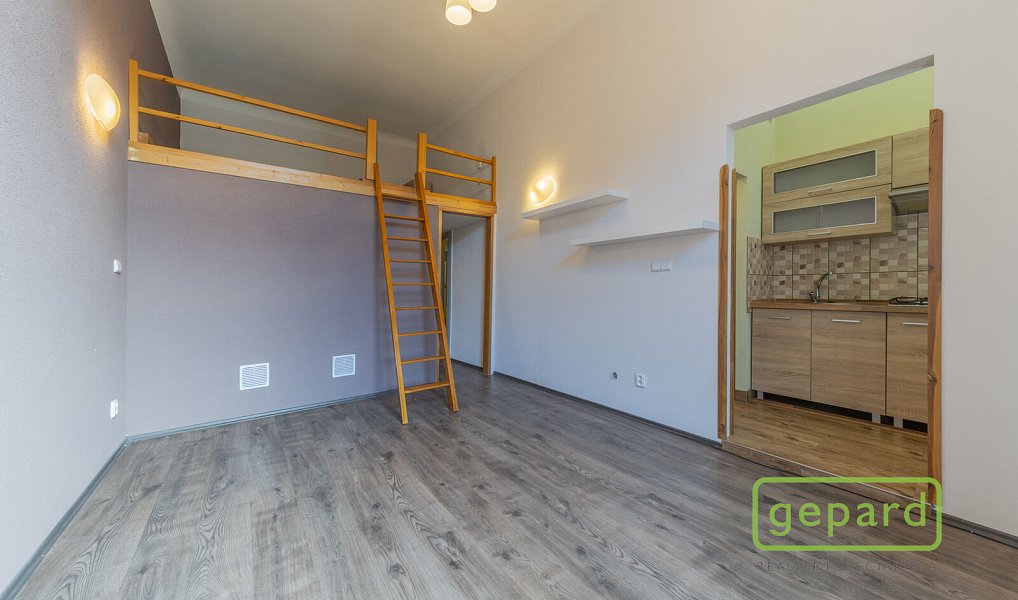 Pronájem bytu 1+kk 35 m², Cheb – náhled fotky 2