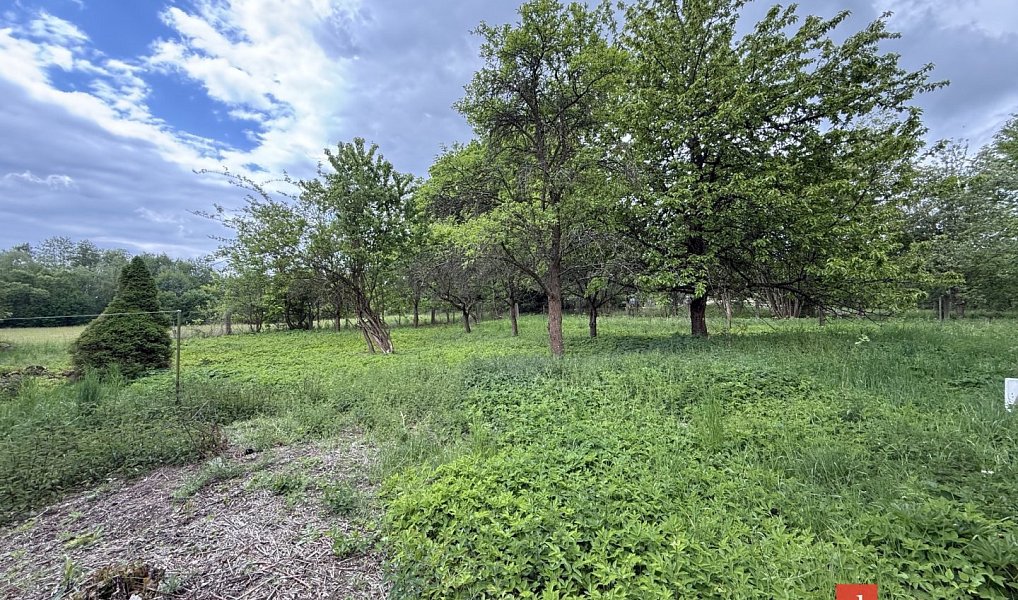 Prodej domu 170 m² s pozemkem 1 708 m², Nalžovské Hory – náhled fotky 8