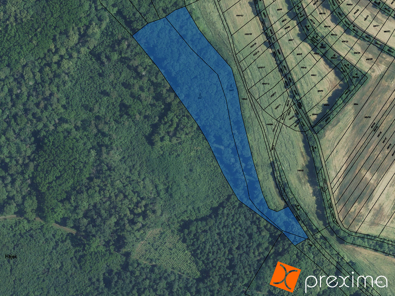 Prodej lesa 1 078 m²