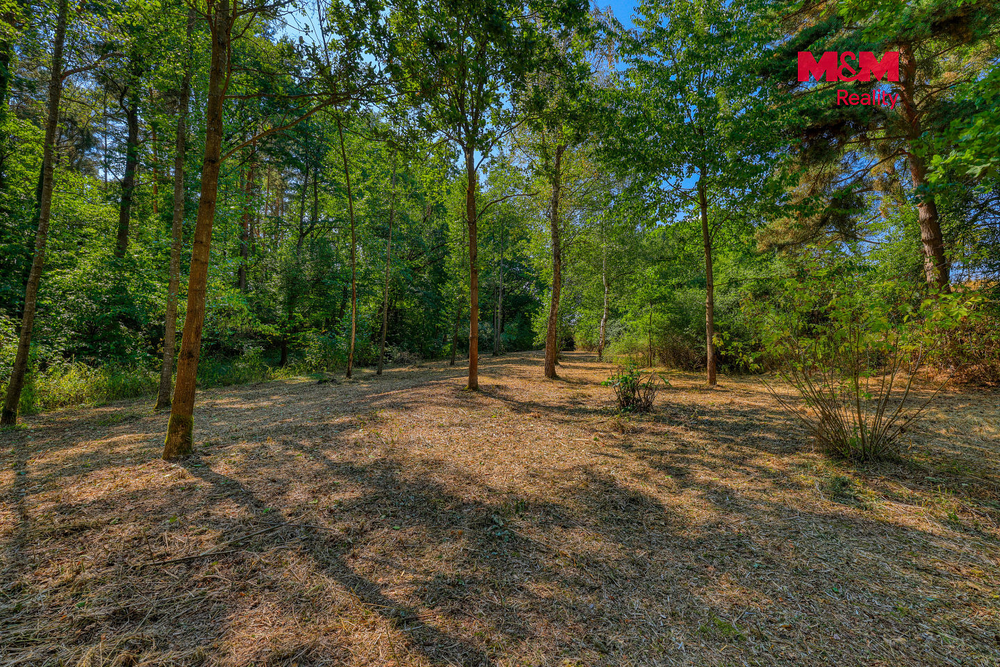 Prodej zahrady 2 248 m² – fotografie 3