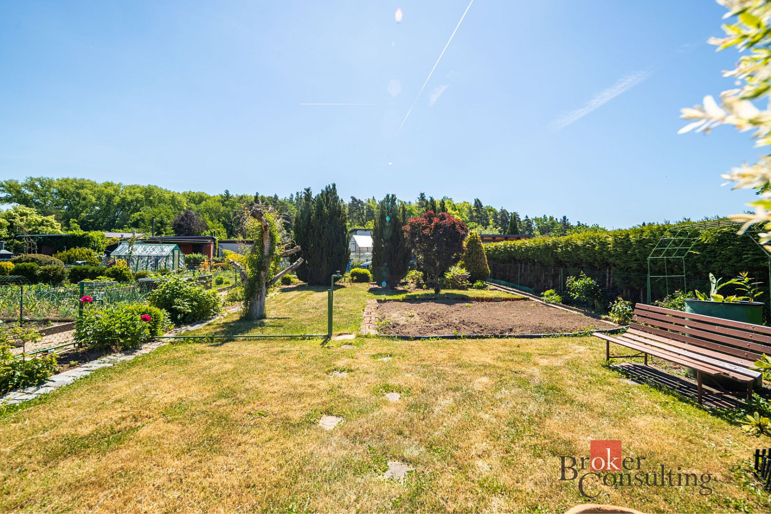 Prodej zahrady 224 m² — photo 4