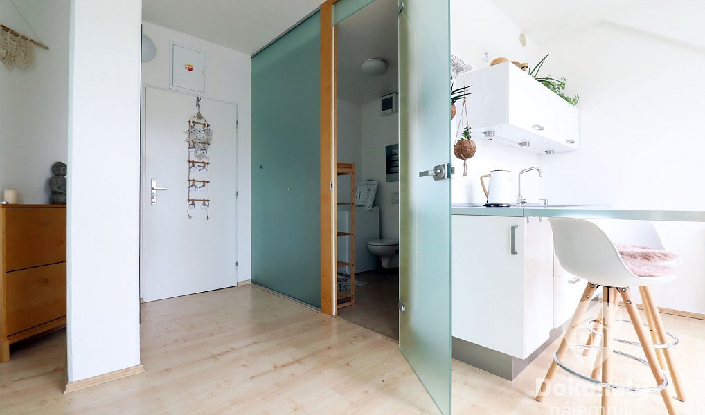 Pronájem bytu 1+kk 45 m², Praha – náhled fotky 9