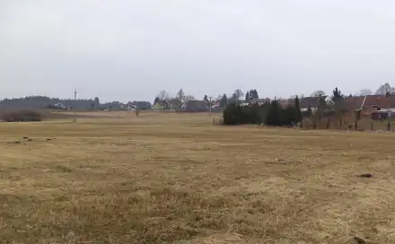 Dražba louky 1 003 m², Tojice