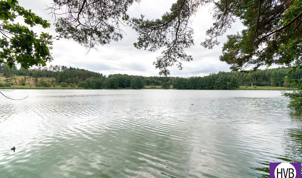 Prodej chaty/chalupy 50 m² s pozemkem 228 m², Lažánky – náhled fotky 10