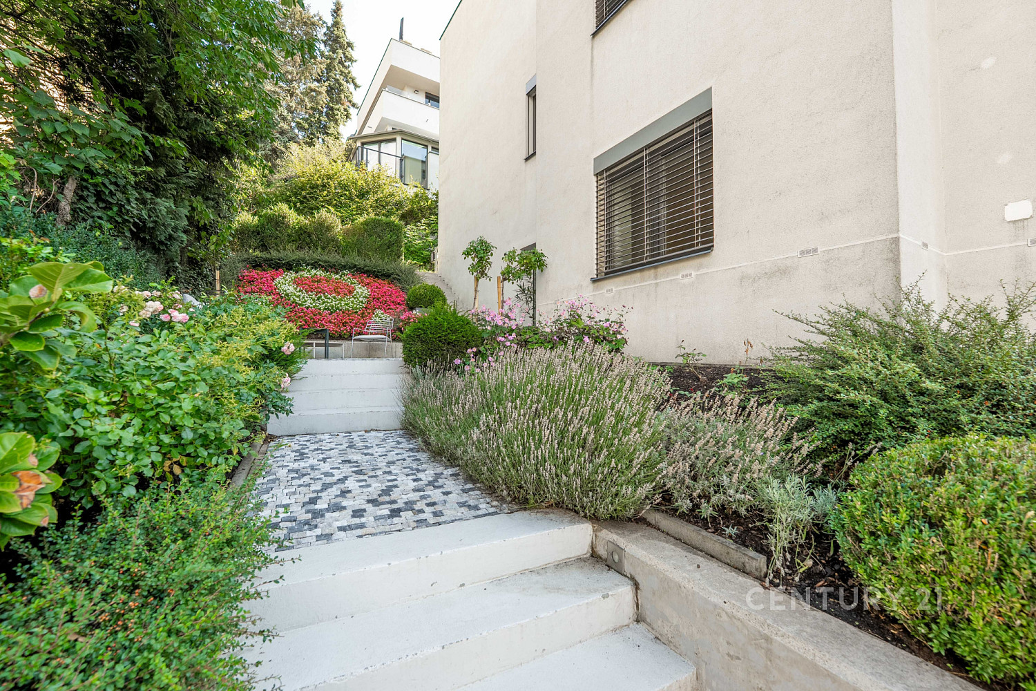 Pronájem kanceláře 115 m² – fotografie 3