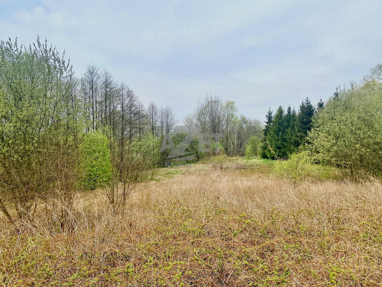 Fotka 9 z 10