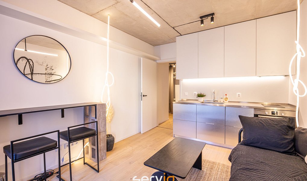 Pronájem bytu 1+kk 26 m², Brno – náhled fotky 4