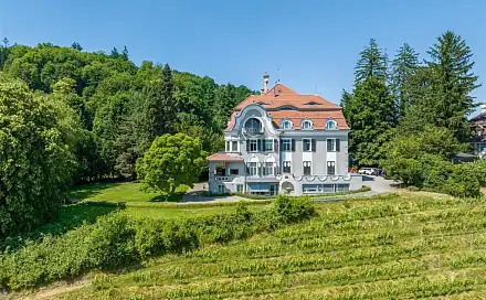 Prodej domu 1 361 m² s pozemkem 12 320 m², Kapfstrasse, Balgach, Švýcarsko