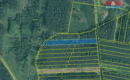 Prodej lesa 4 751 m², Bechyně - Hvožďany, okres Tábor