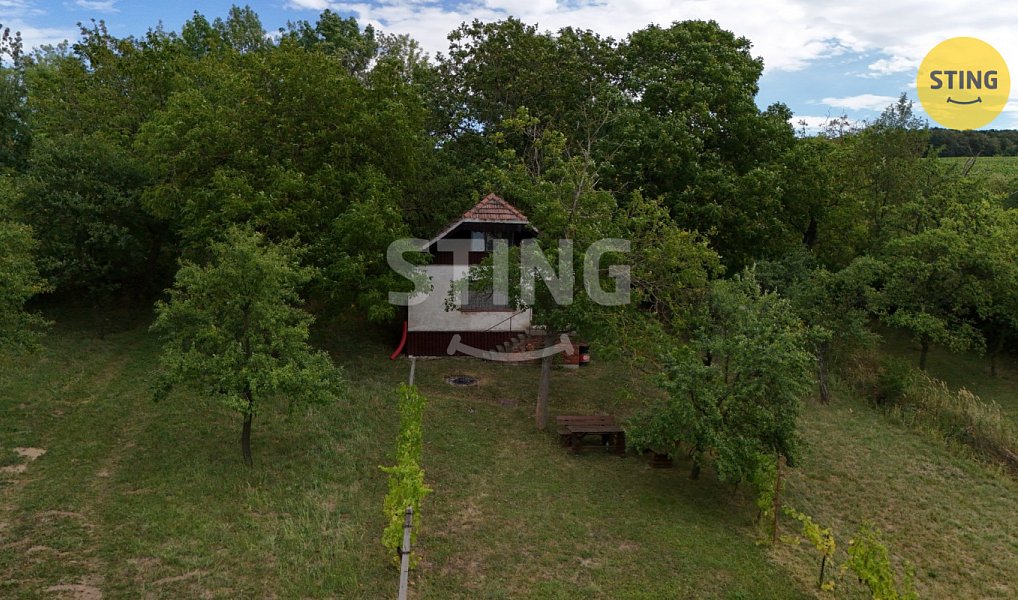 Prodej chaty/chalupy 30 m² s pozemkem 4 483 m², Strážnice – náhled fotky 4