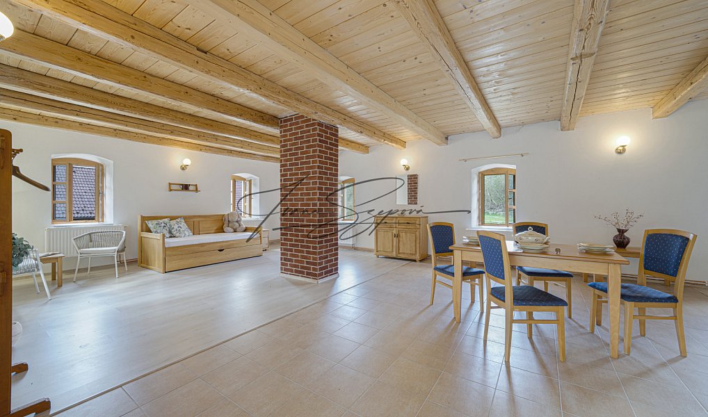 Prodej domu 594 m² s pozemkem 13 331 m², Olešná – náhled fotky 43