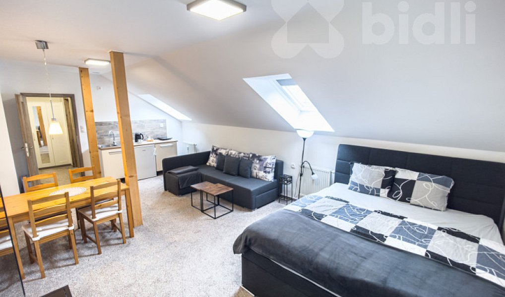 Prodej bytu 1+kk 62 m², Jeseník – fotka 1 z 37