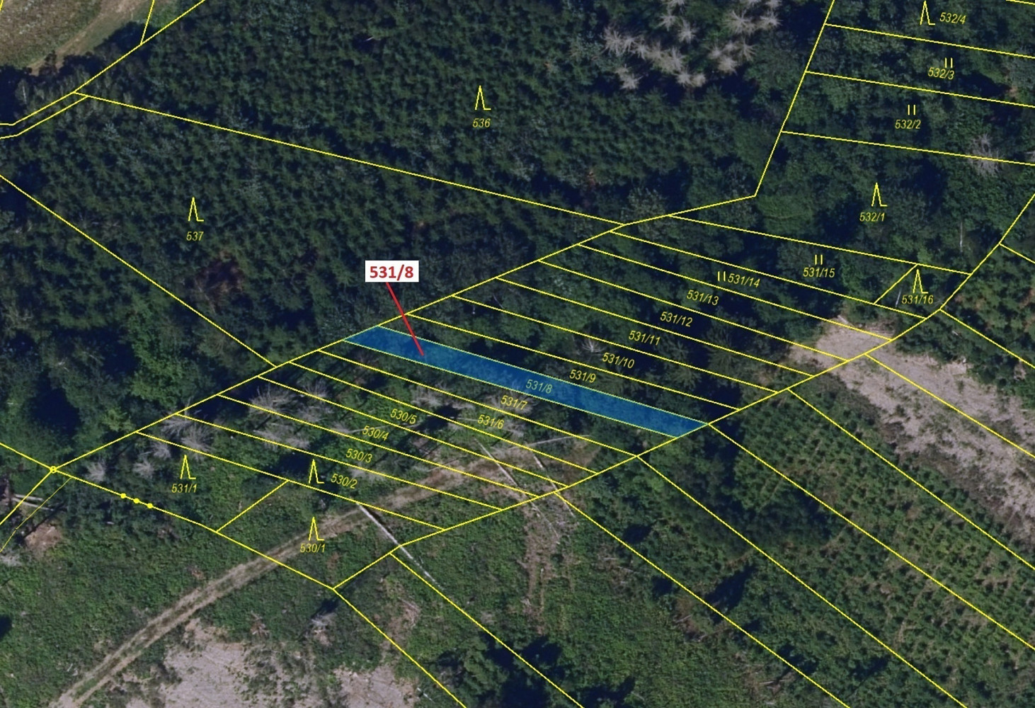 Dražba lesa 212 m² — photo 2