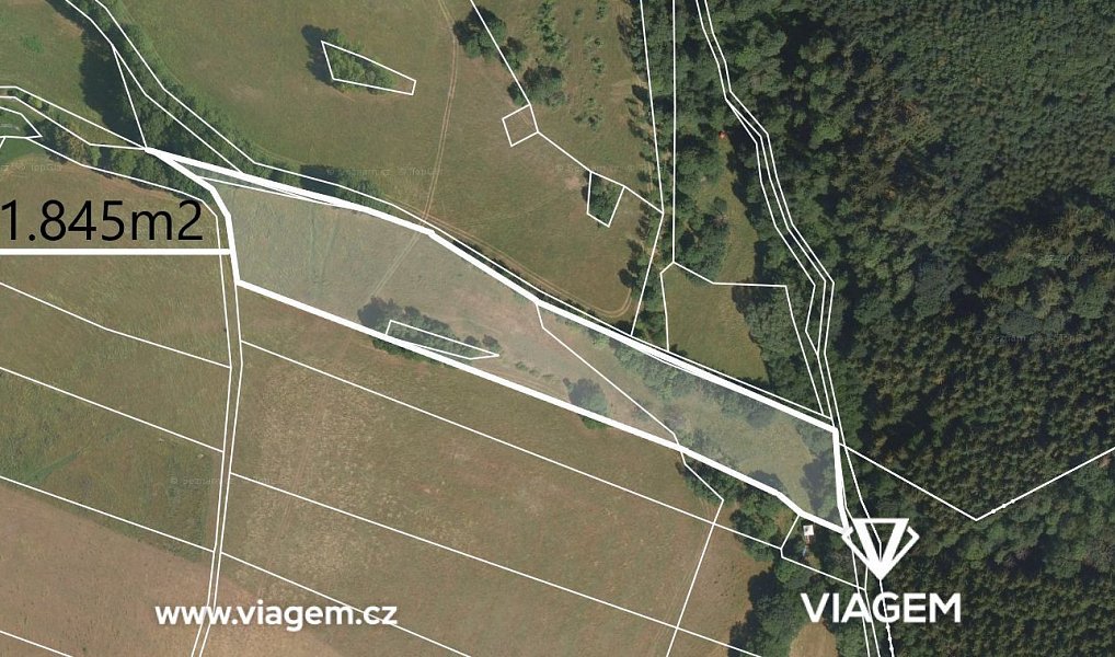 Prodej pole 11 845 m², Proseč pod Ještědem – fotka 1 z 5