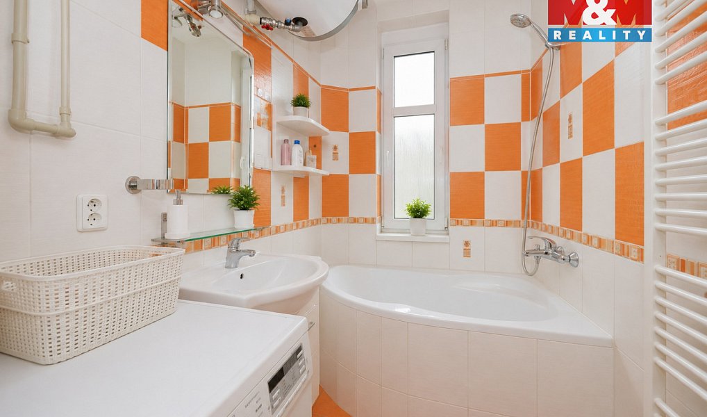 Prodej domu 330 m² s pozemkem 264 m², Černovice – náhled fotky 11