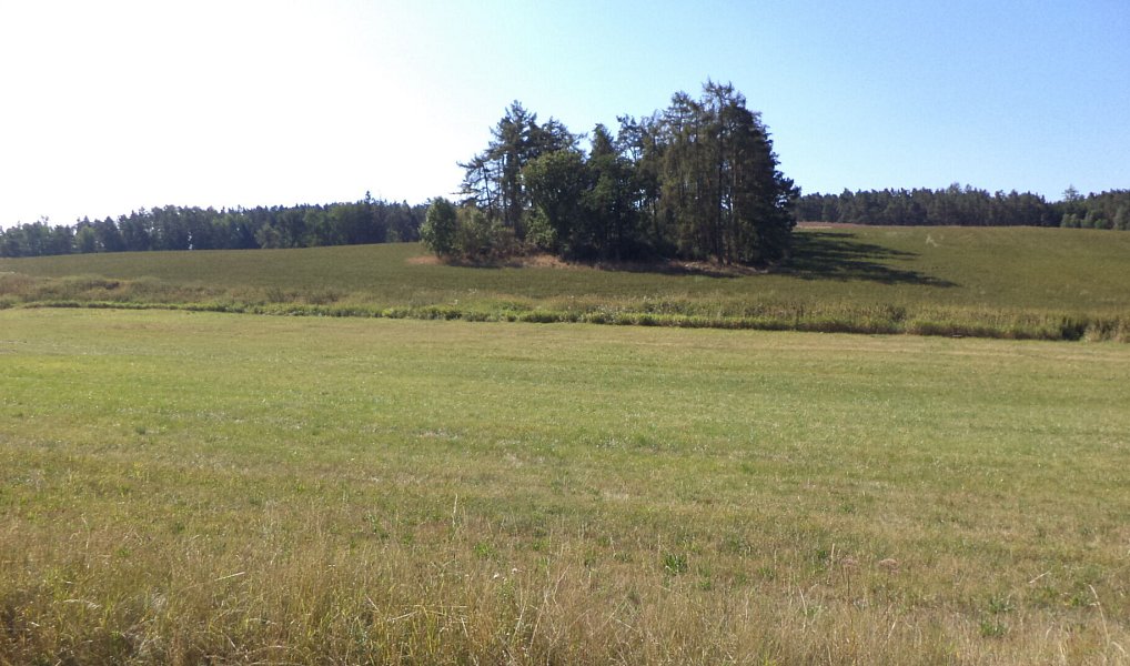 Prodej pole 2 383 m², Srby – náhled fotky 2