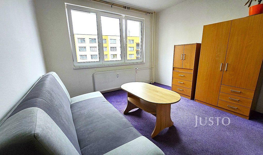 Pronájem bytu 1+kk 20 m², Písek – náhled fotky 2