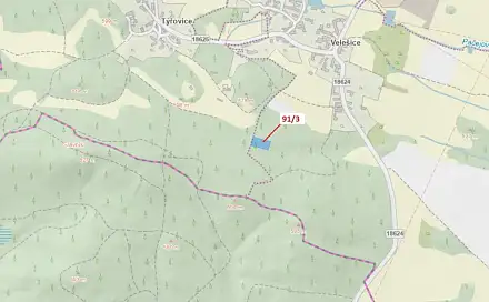 Dražba lesa 1 958 m², Pačejov