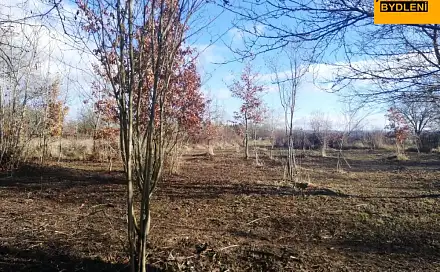 Prodej zahrady 470 m², Olomouc