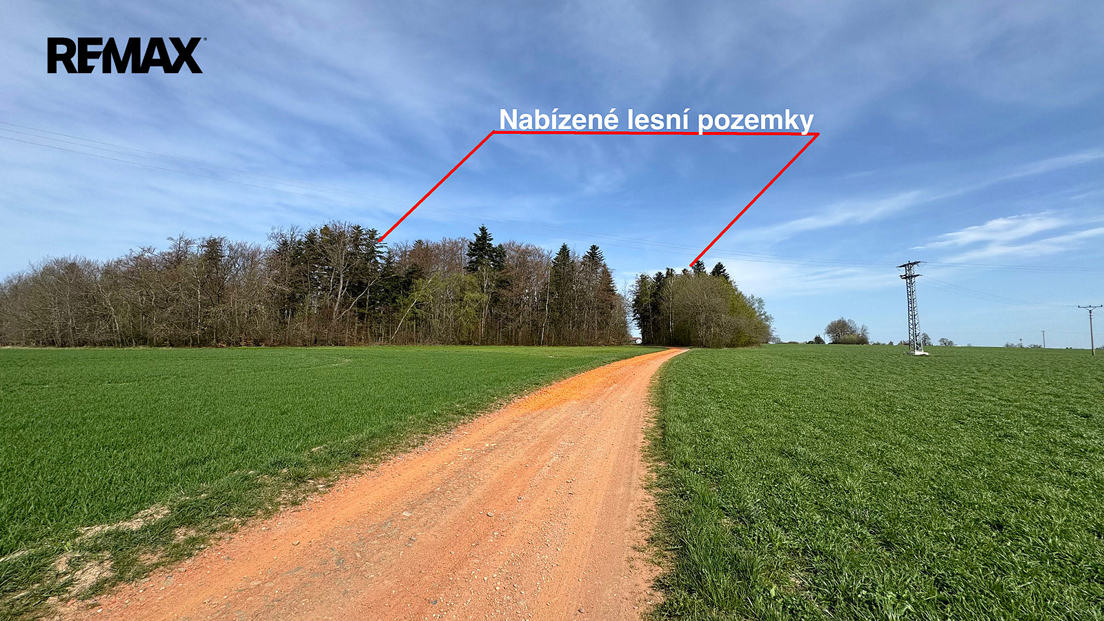 Prodej lesa 25 088 m² — photo 3