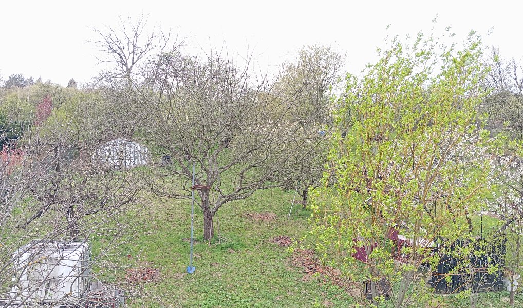 Prodej chaty/chalupy 44 m² s pozemkem 1 338 m², Uherský Brod – náhled fotky 11
