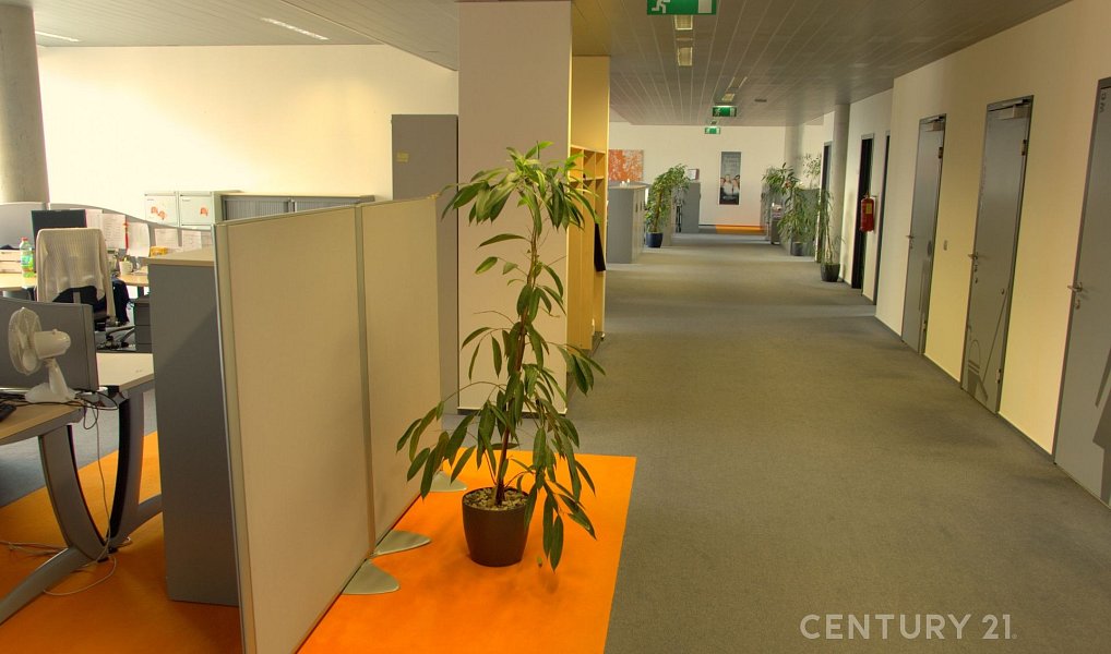 Pronájem kanceláře 239 m², Praha – náhled fotky 11