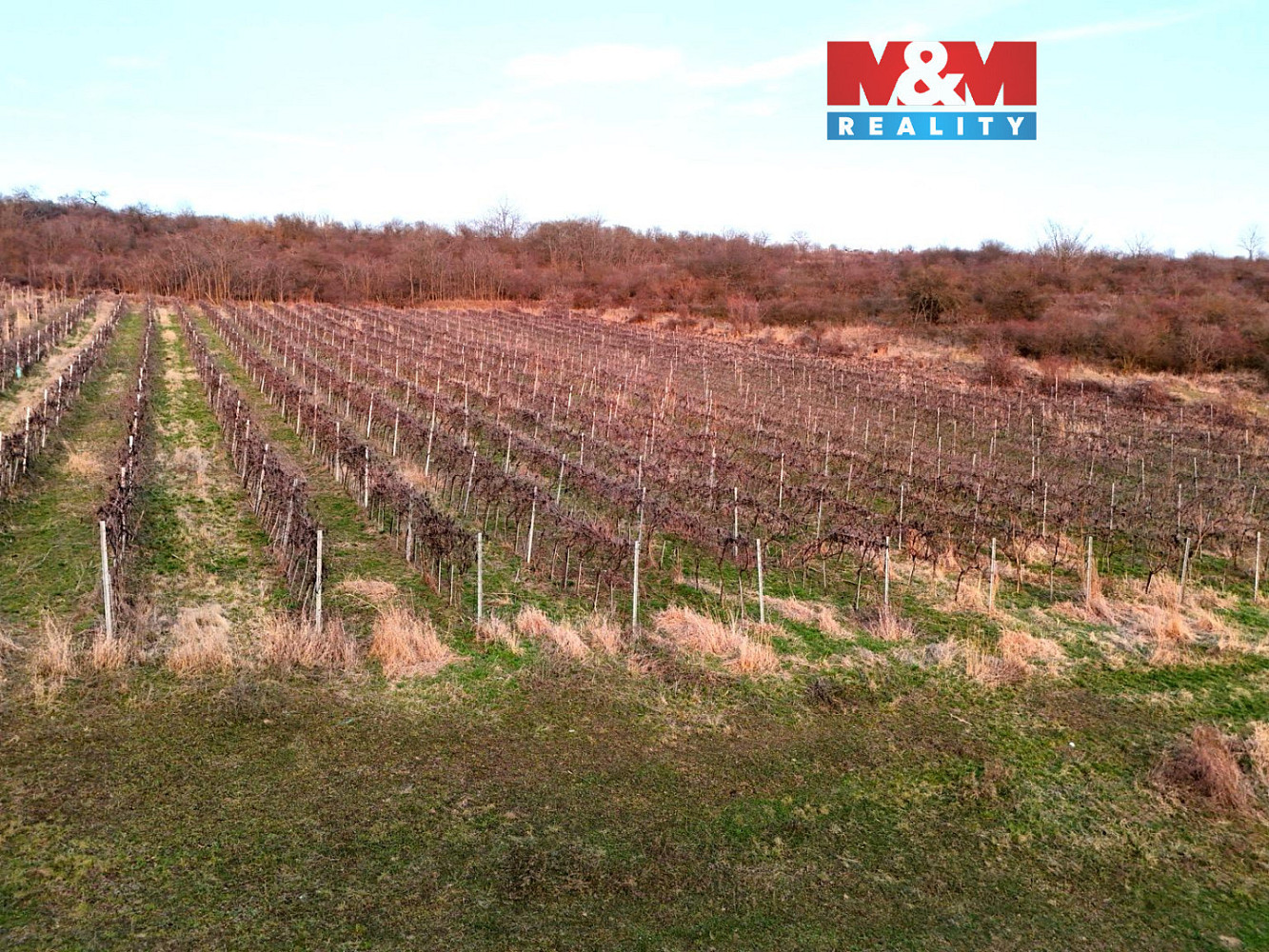 Prodej pole 9 215 m²
