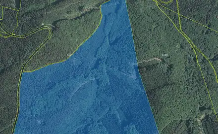 Prodej lesa 4 699 m², Vizovice, okres Zlín