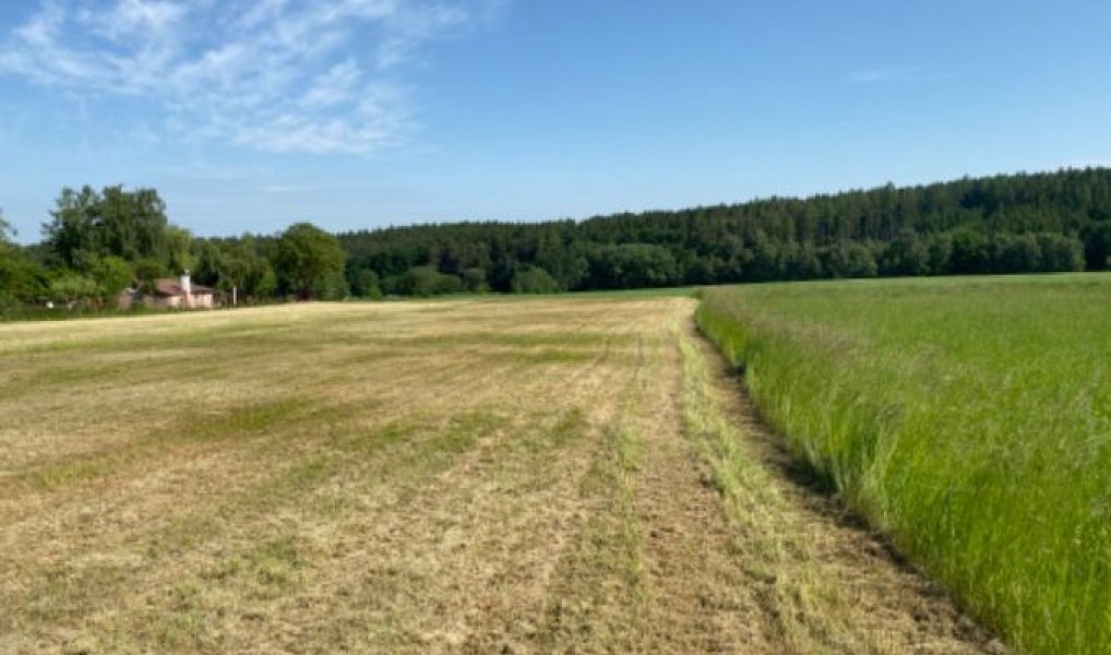 Prodej stavebního pozemku 8 669 m², Zbizuby – náhled fotky 11