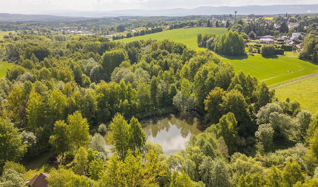 Prodej pole 54 868 m², Krajková – fotka 1 z 19