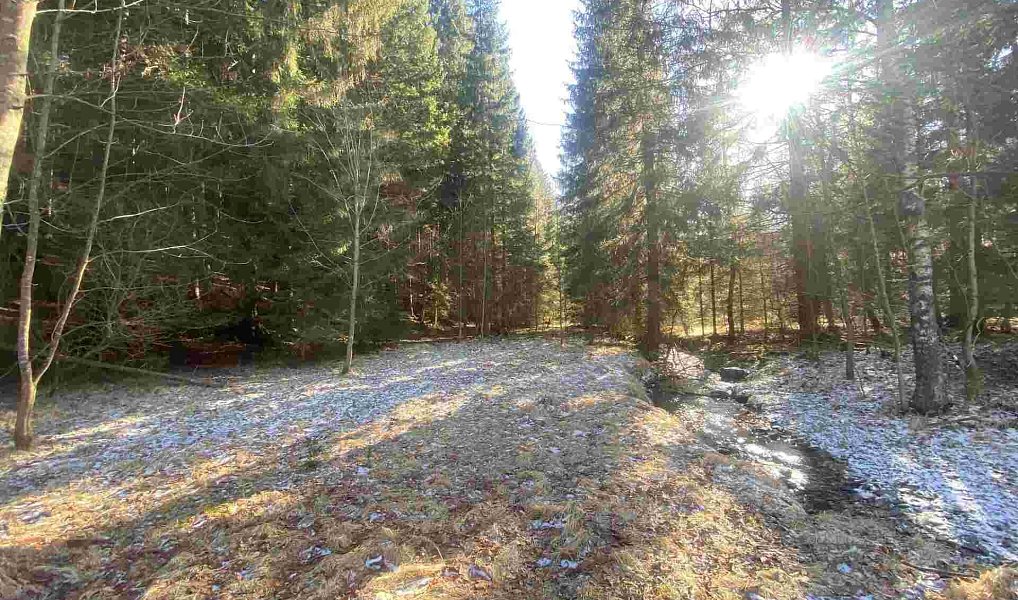 Prodej pole 10 377 m², Čachrov – náhled fotky 4