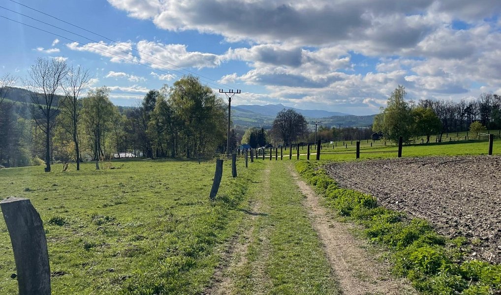 Prodej stavebního pozemku 2 391 m², Pulečný – náhled fotky 4