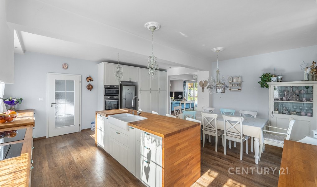 Prodej domu 340 m² s pozemkem 1 893 m², Družec – náhled fotky 8