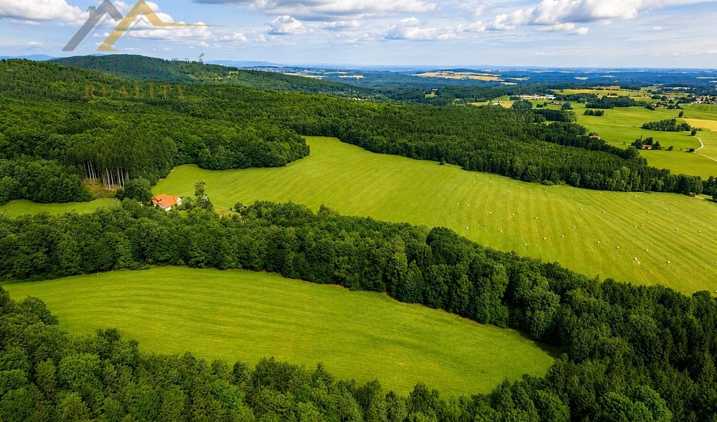Prodej louky 98 591 m², Benešov nad Černou – náhled fotky 5