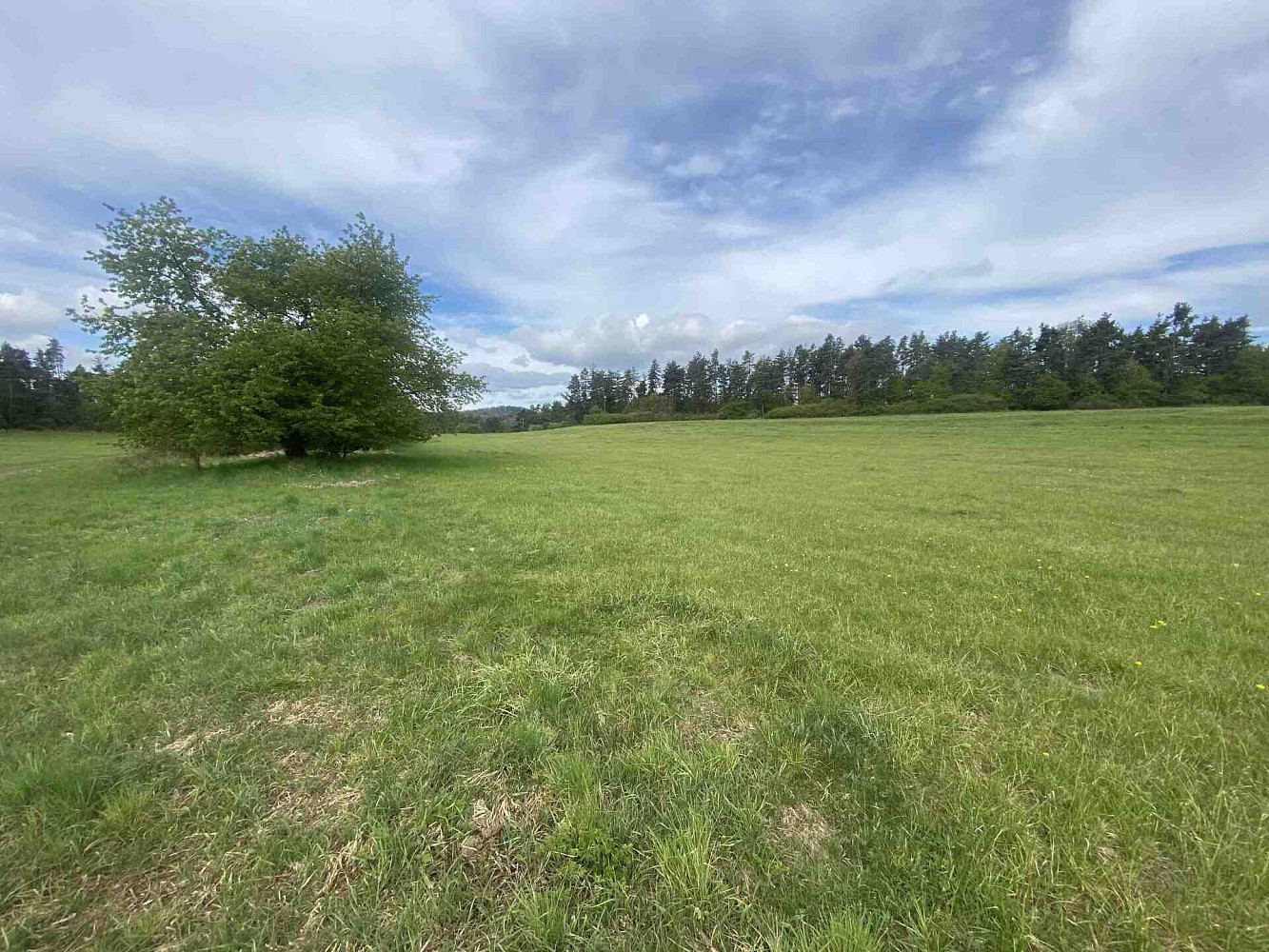 Prodej pole 11 969 m², Kejnice
