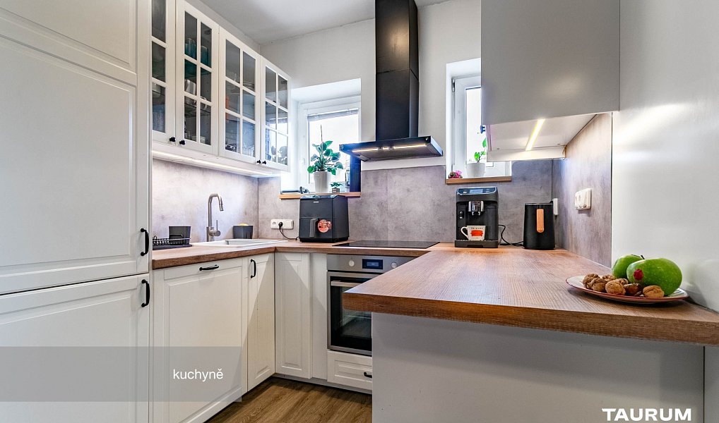 Prodej bytu 2+1 116 m², Plzeň – náhled fotky 3