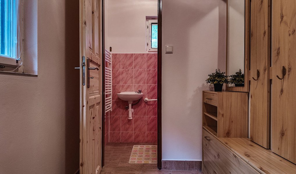 Prodej chaty/chalupy 70 m² s pozemkem 1 402 m², Pustá Rybná – náhled fotky 7
