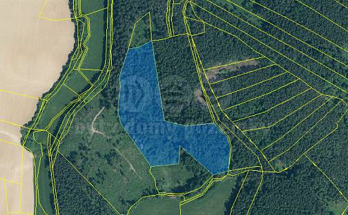 Prodej lesa 33 931 m², Sušice - Chmelná, okres Klatovy