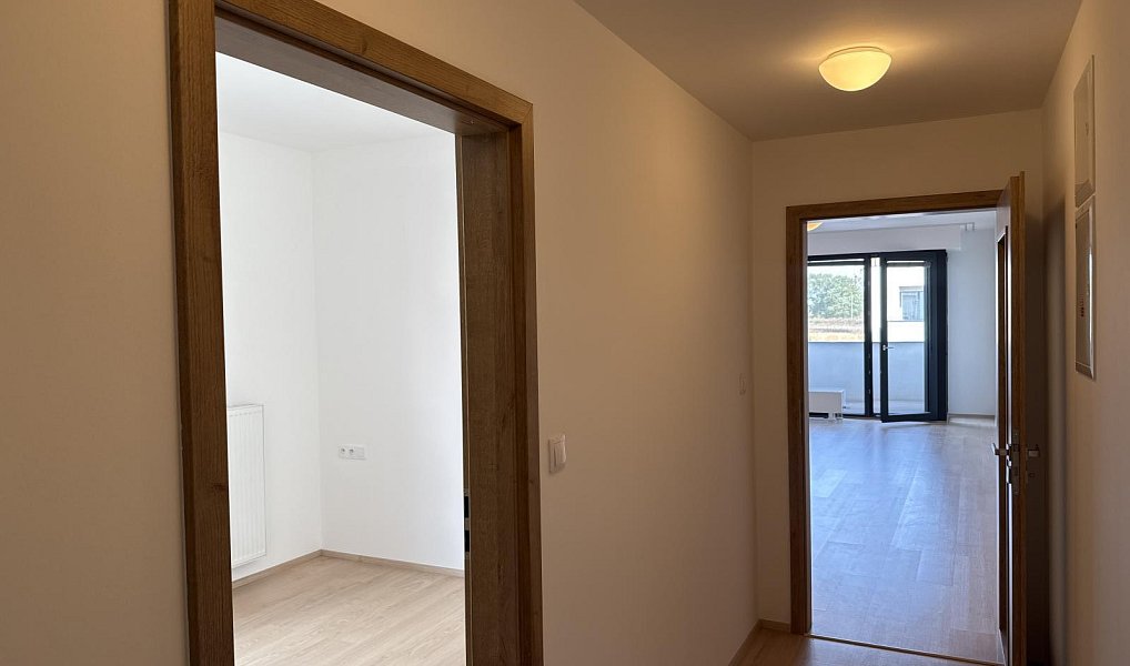 Pronájem bytu 2+kk 56 m², Olomouc – náhled fotky 16