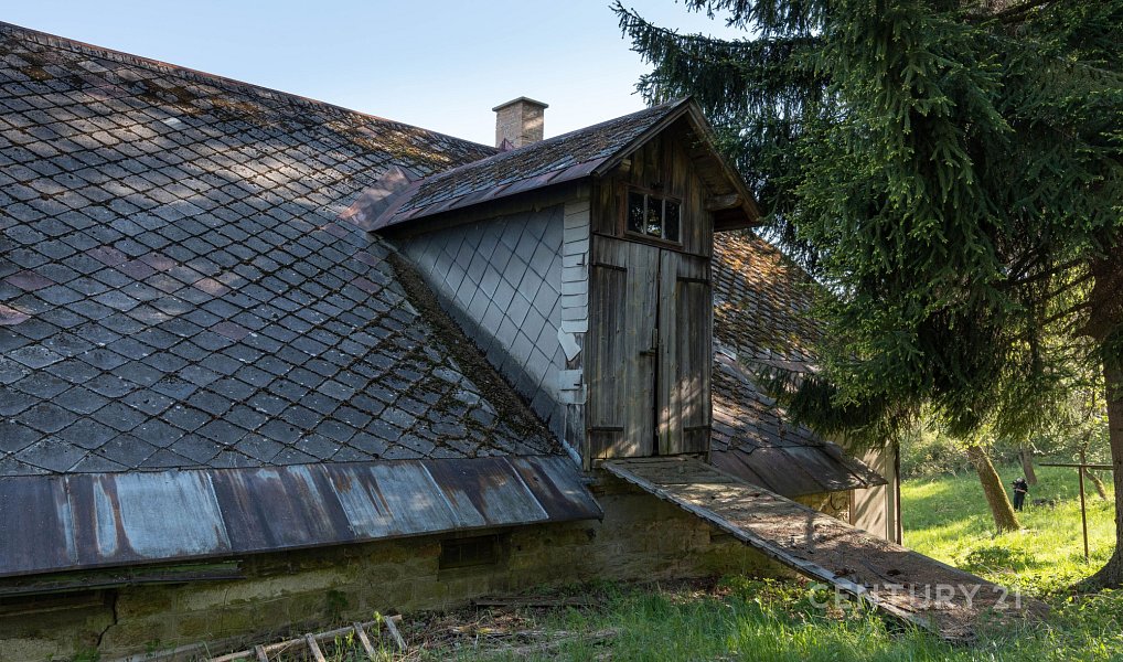 Prodej domu 488 m² s pozemkem 1 781 m², Zlatá Olešnice – náhled fotky 16
