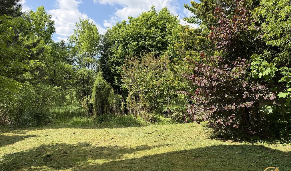 Prodej domu 290 m² s pozemkem 3 795 m², Bozkov – náhled fotky 9