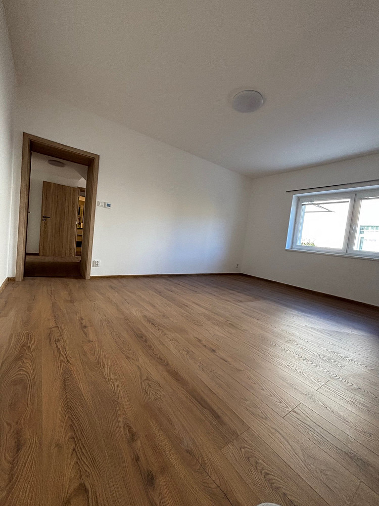 Pronájem bytu 3+1 150 m² — photo 4